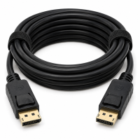Display port (DP)